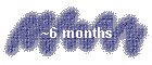 ~6 months